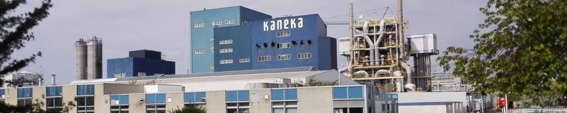 Kaneka 