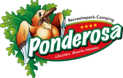 Camping Ponderosa