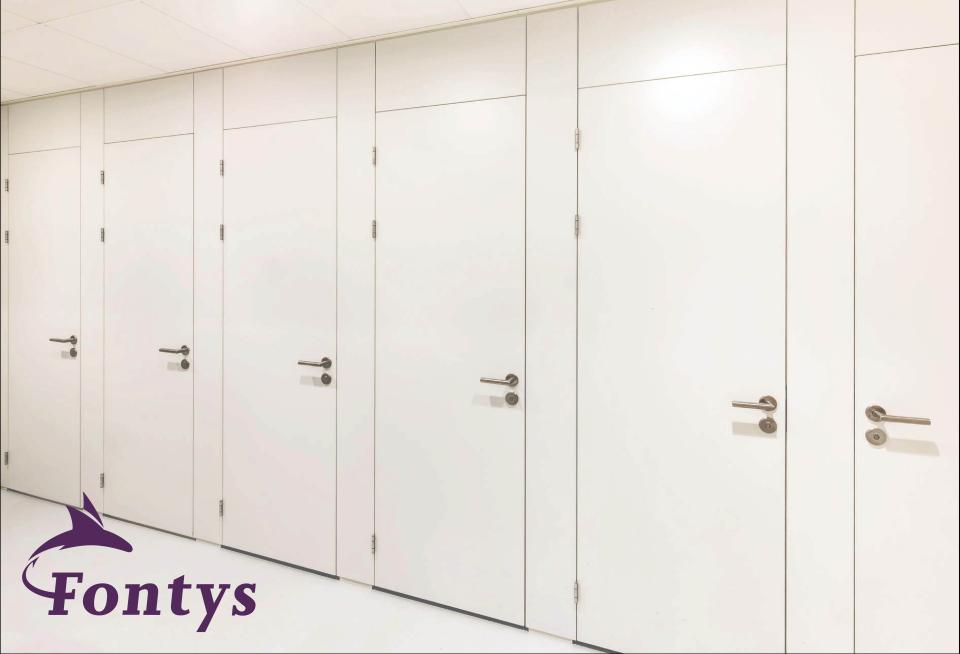Fontys